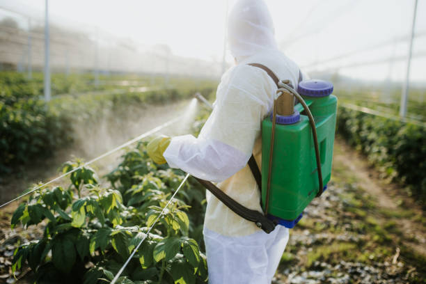 Best Residential Pest Control  in Harmony, PA